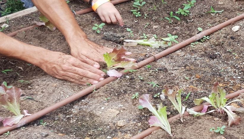 שבת נטיעות לט"ו בשבט במשק הלברכט